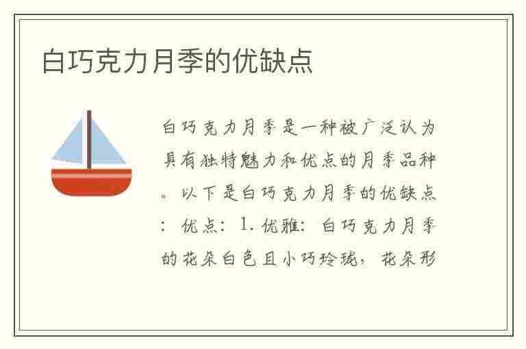 白巧克力月季的优缺点(白巧克力月季的优缺点是什么)